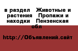  в раздел : Животные и растения » Пропажи и находки . Пензенская обл.